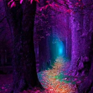 Meet your Posher, Candi